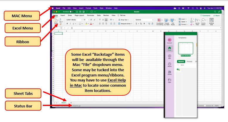 Image of MS Excel for MAC user interface