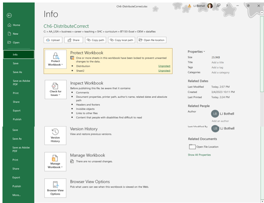 Image of MS Excel backstage Info page