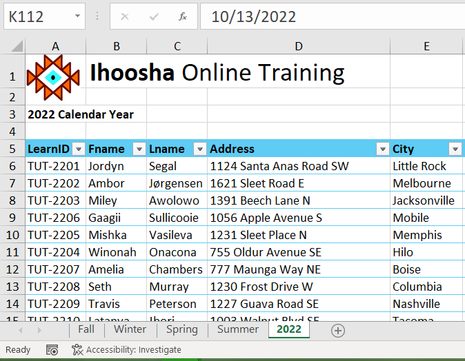 Image of MS Excel finished chapter activities
