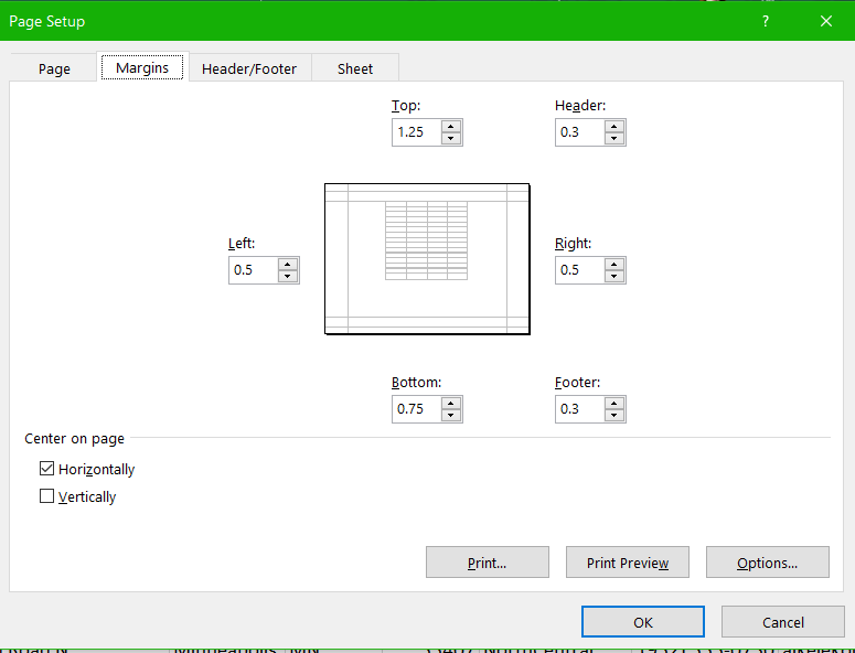 Image of MS Excel page setup panel custom margins
