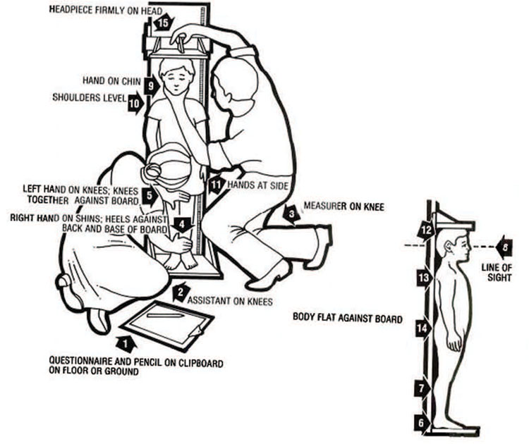 An illustrated guide for parents for how to measure a child's height.