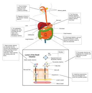 Figure 9.2 “Absorption of Fat-Soluble and Water-Soluble Vitamins.