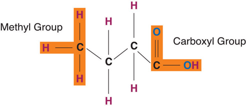 Methyl and Carboxyl group chemical structure