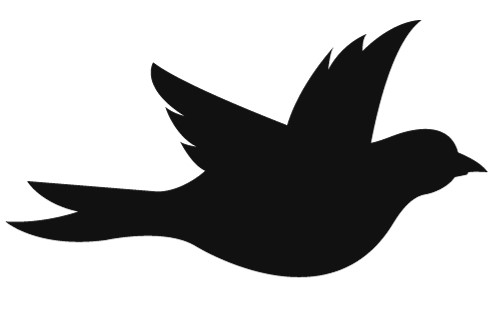 Silhouette of a bird in flight with head facing to the right