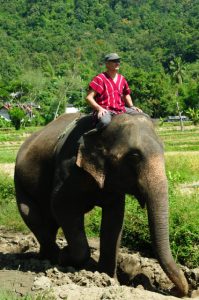 The author riding his elephant.