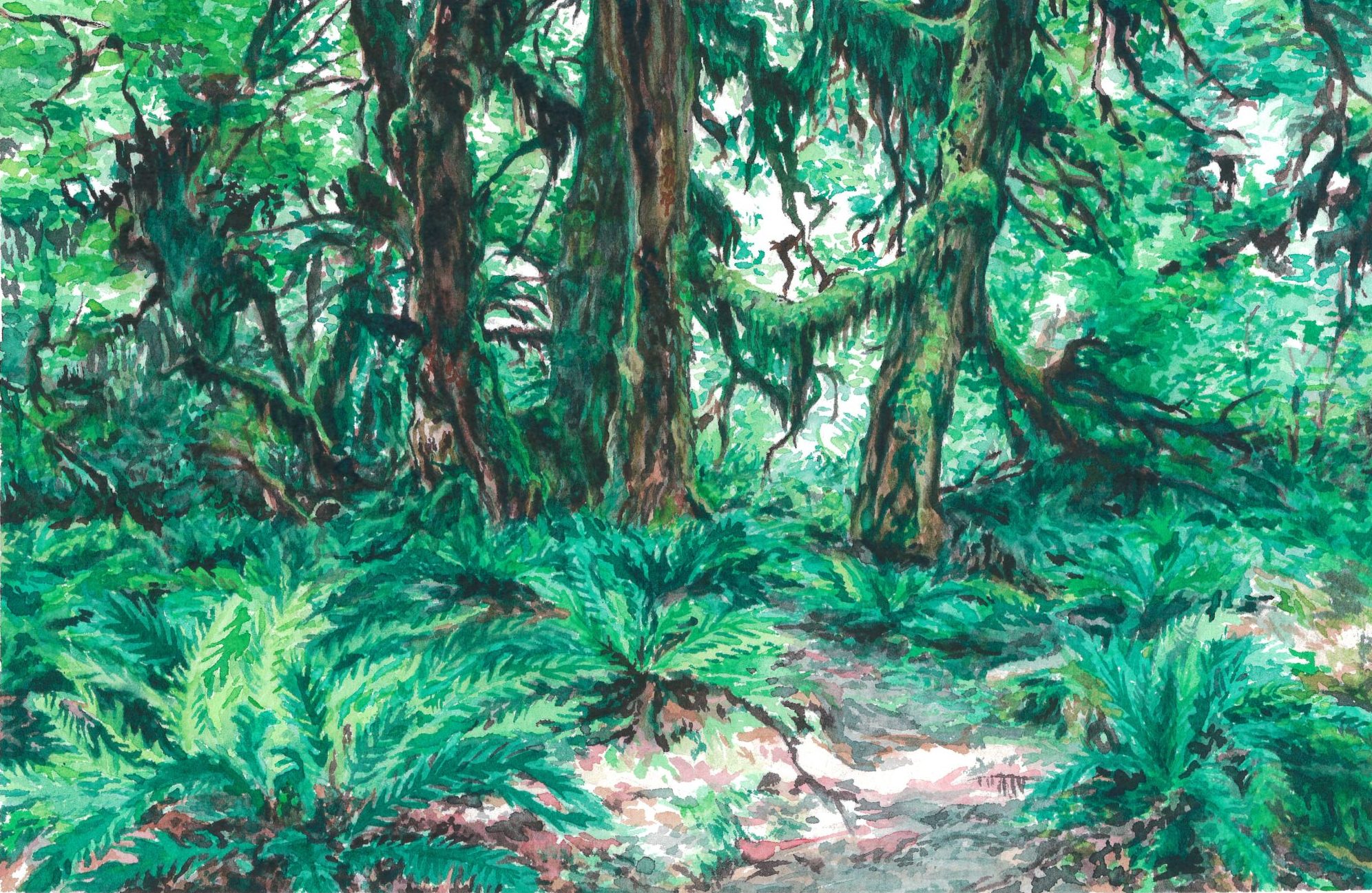 Painting of a forest with mossy trees and ferns
