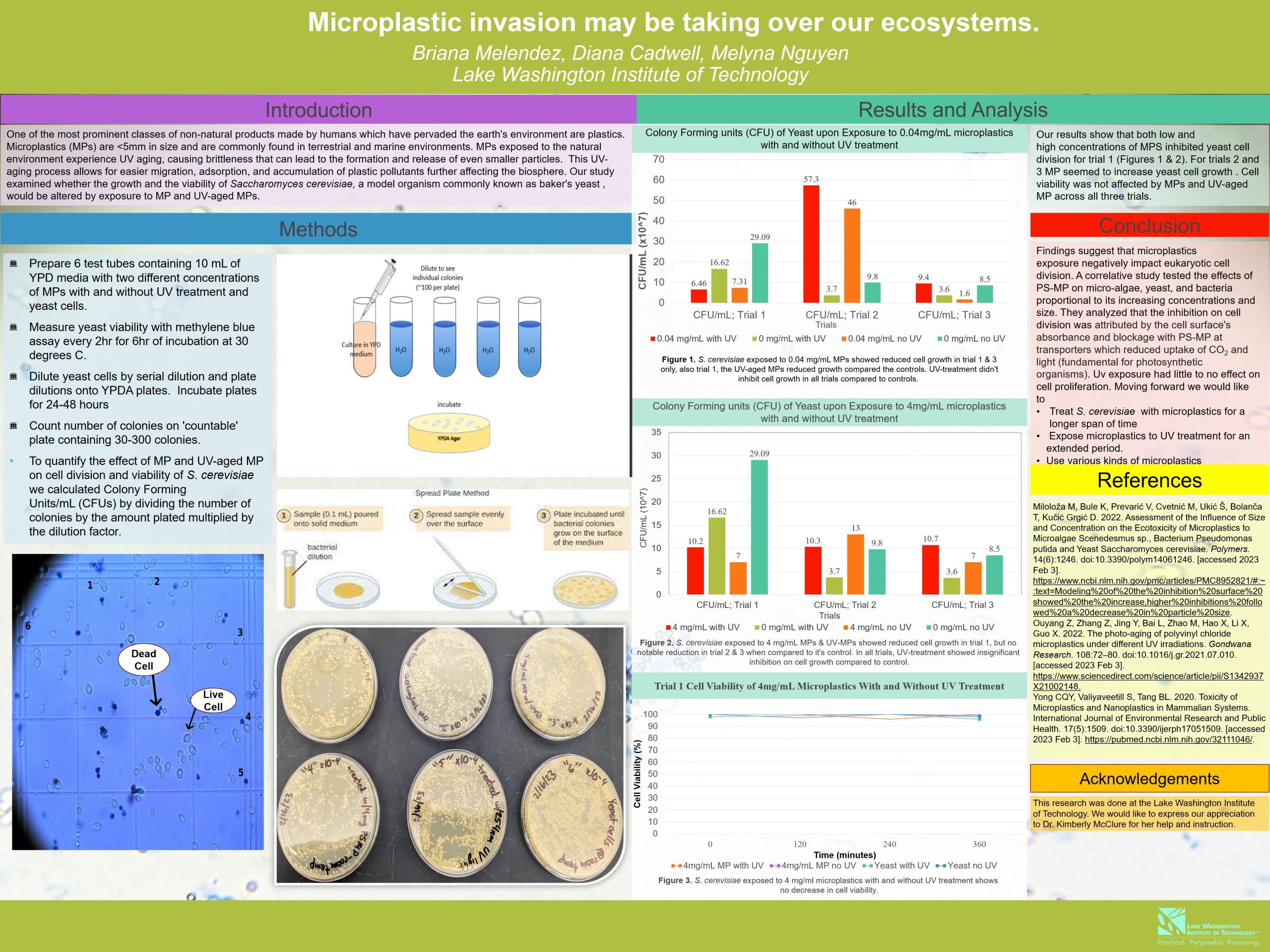A research poster of a study examining whether an organism of yeast, Saccaromyces cerevisiae, would be altered by exposure to microplastics and UV-aged microplastics