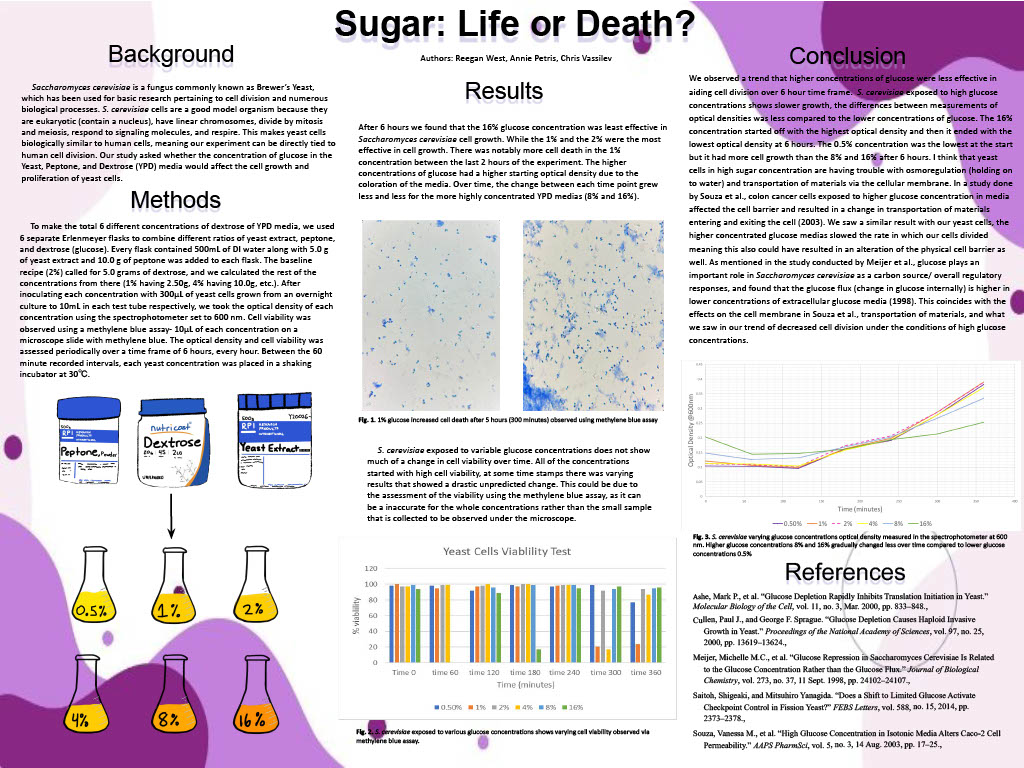 Research study asking whether the concentration of glucose in Yeast, Peptone and Dextrose media would affect cell growth and proliferation of yeast cells