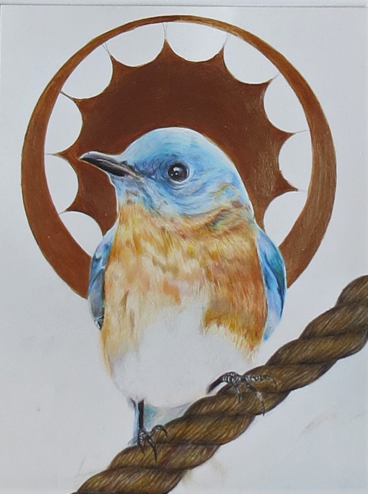 Artwork of a bluebird standing on a rope with a brown star design behind the bird's head