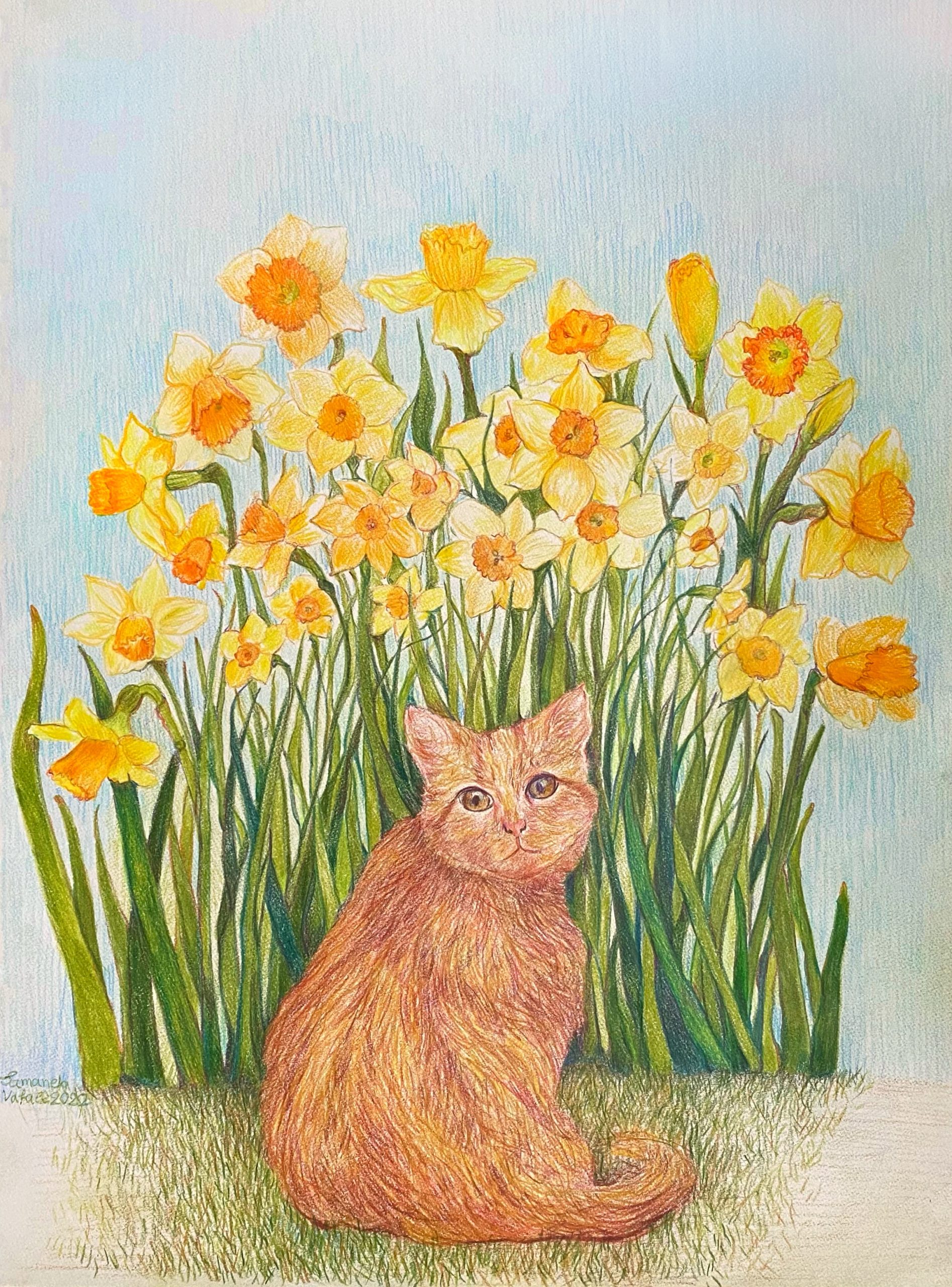 Artwork of an orange cat sitting in front of a bed of daffodils