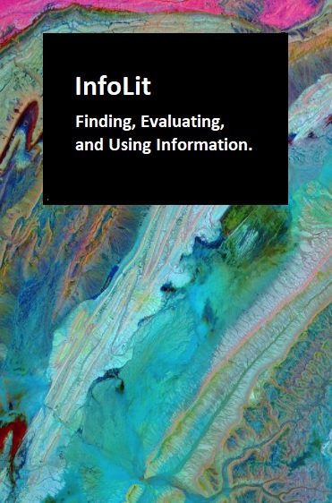 Cover image for InfoLit