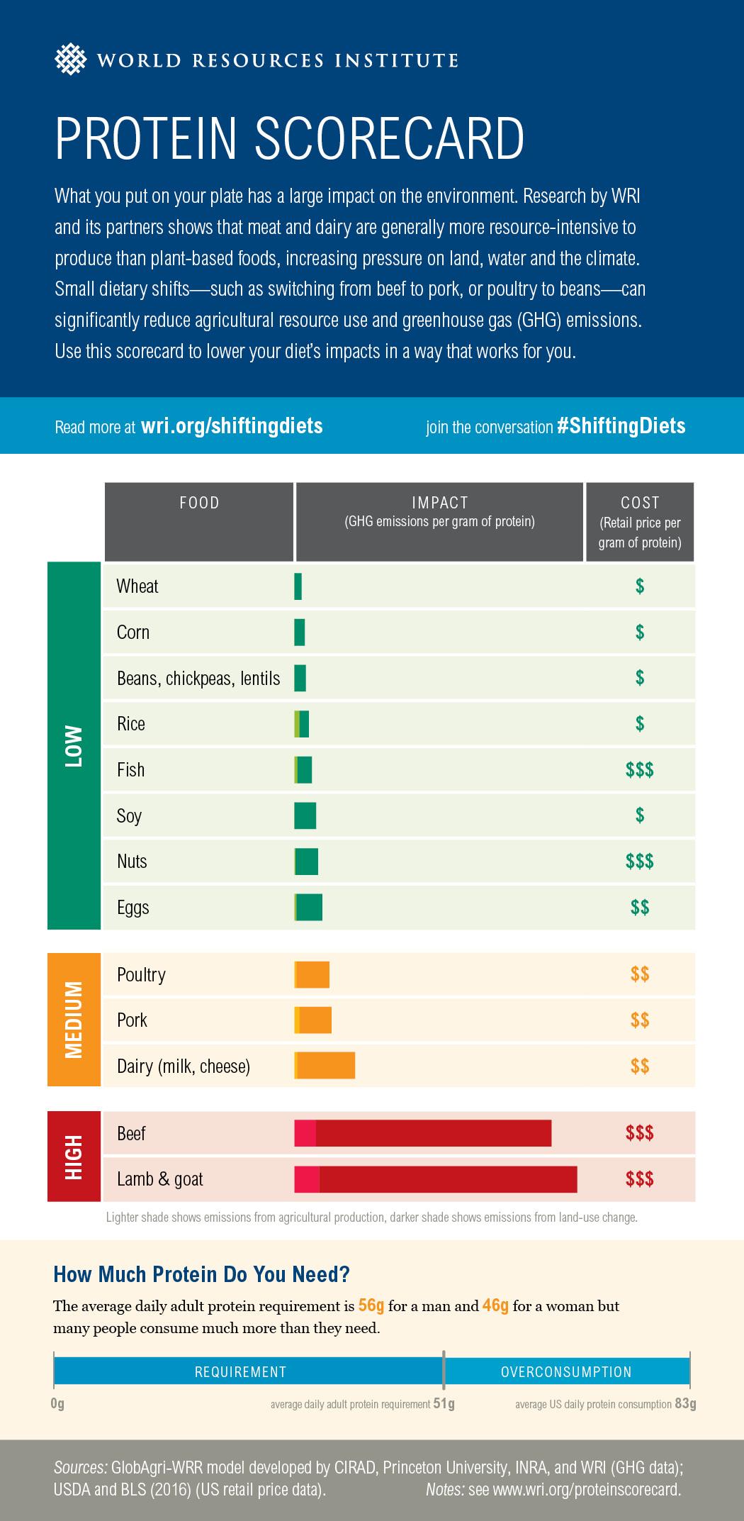 A chart showing greenhouse gas emissions per gram of protein for different protein sources, sorted by low, medium, and high impact, with cost also noted. In the low impact category: wheat, corn, beans, chickpeas, lentils, rice, fish, soy, nuts, and eggs. In the medium impact category: poultry, pork, and dairy. In the high impact category: beef, lamb, and goat.