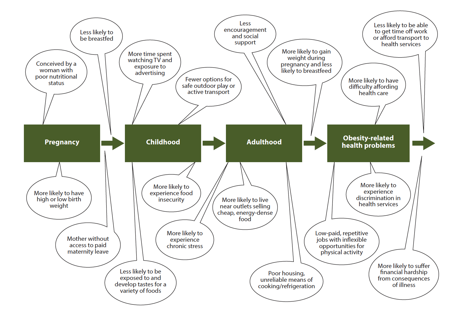 Graphic showing examples of how social and economic inequities accumulate across the lifespan, from pregnancy (e.g., "Mother without access to paid maternity leave), childhood (e.g., "More likely to experience food insecurity"), adulthood (e.g., "More likely to experience chronic stress"), and obesity-related health problems (e.g., "More likely to experience discrimination in health services").