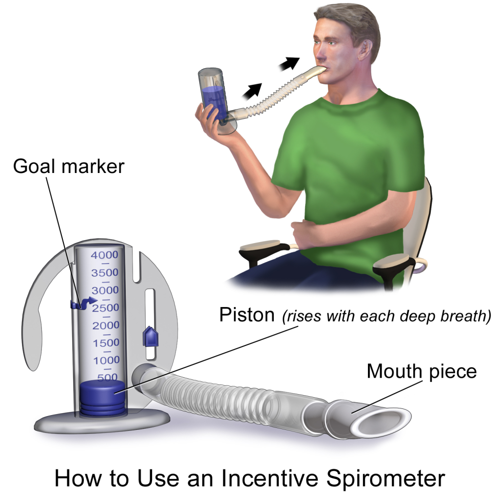 Nasal Breathing Vs. Mouth Breathing - Why Nose Breathers Perform Better and  Recover Faster — Recovery Guru