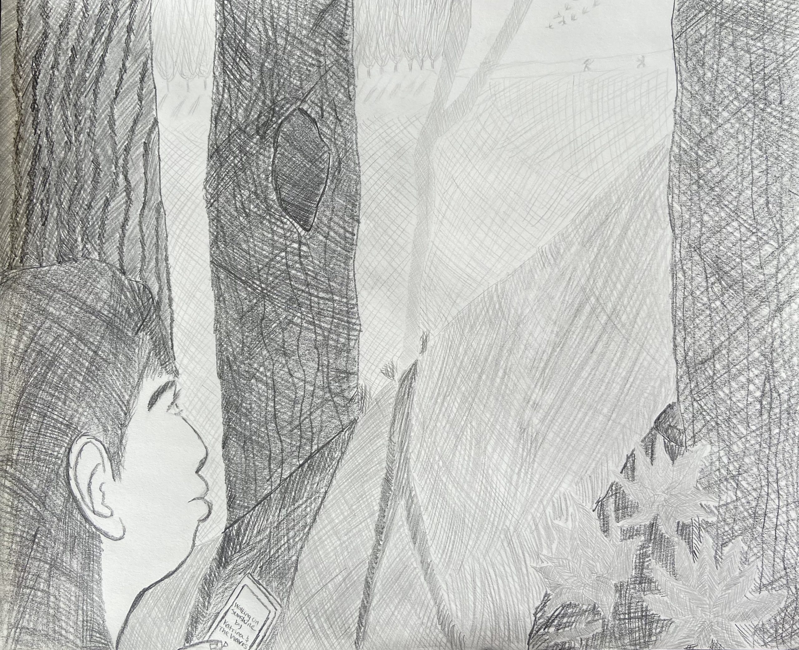 Drawing of person looking through trees at sunshine