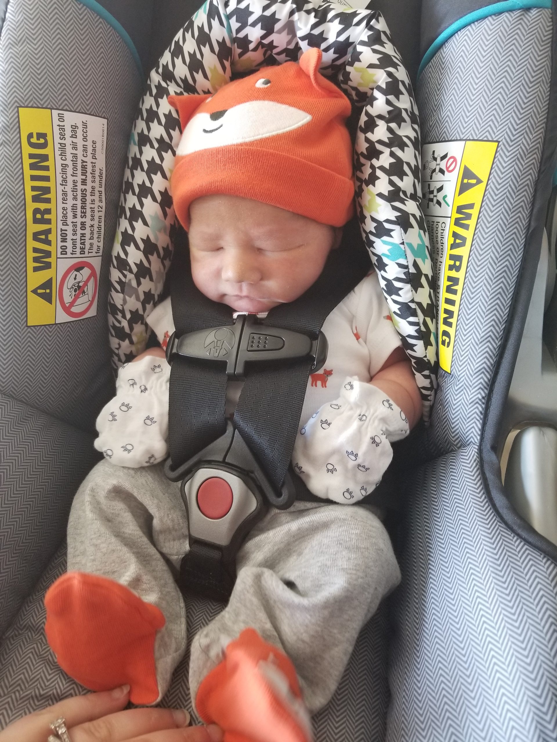 Photo showing infant in five point car seat