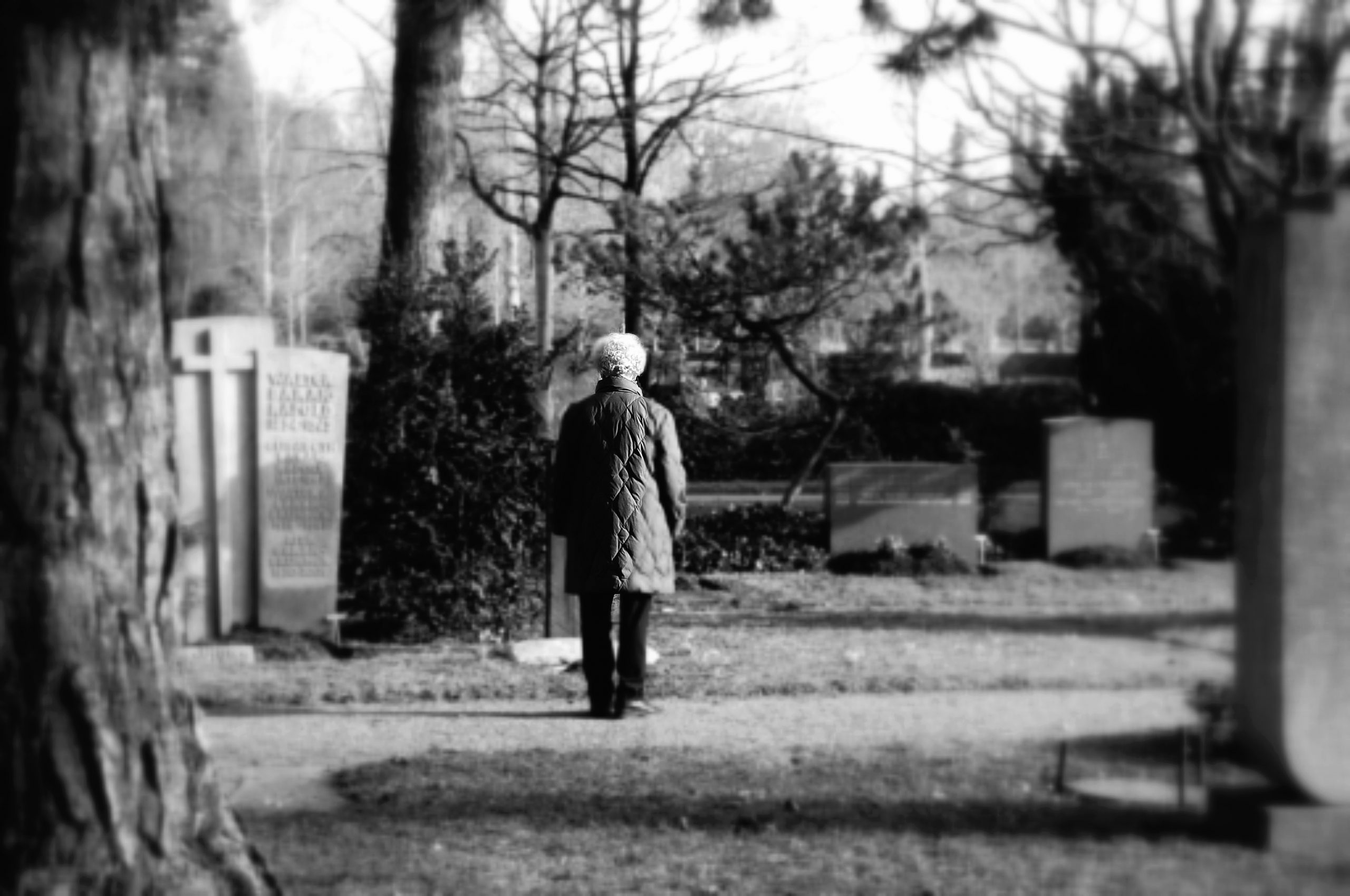 Image showing person walking through cemetery