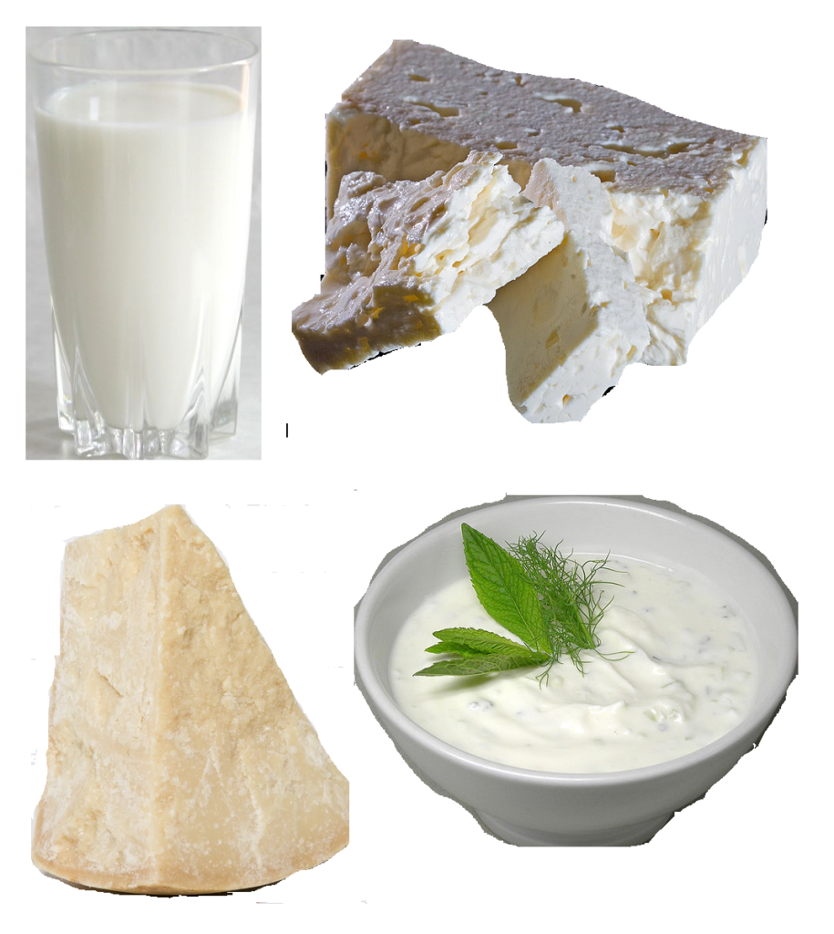 Image showing various dairy products