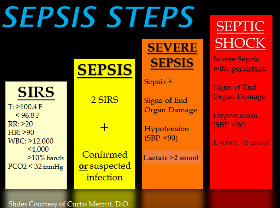 Image showing progression of sepsis with four labeled bars