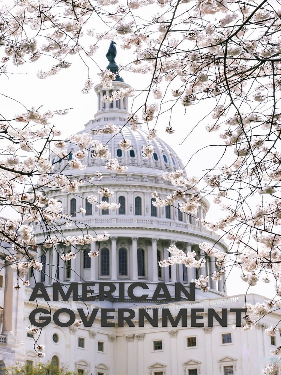Cover image for American Government (3e)