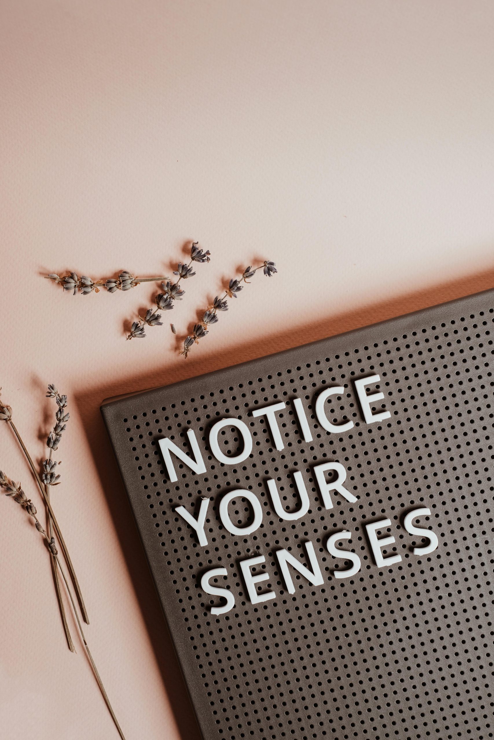 wordboard that says "notice your senses"