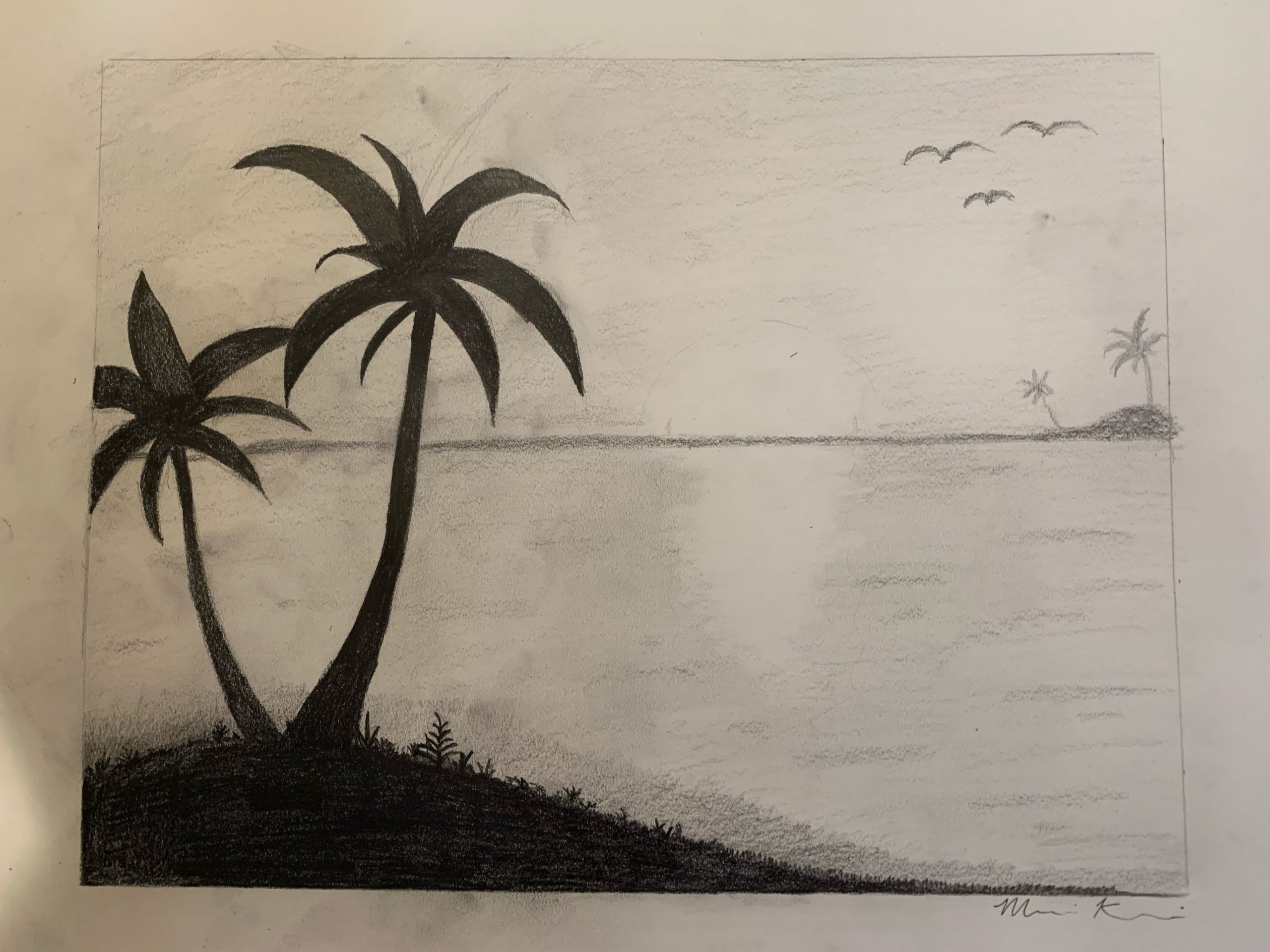 Drawing of palm trees next to water with birds flying overhead